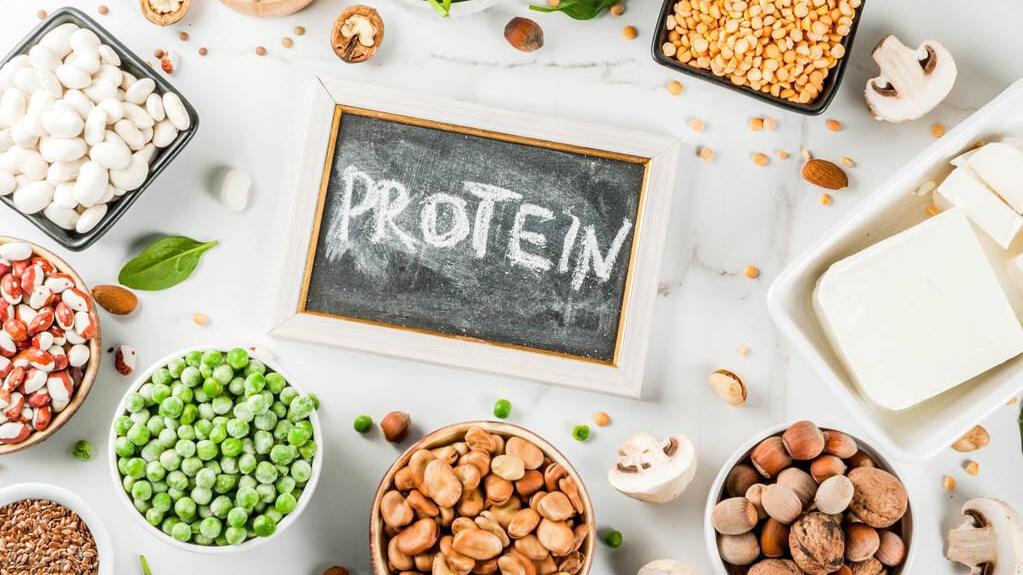蛋白质|解析｜植物蛋白vs乳清蛋白vs酪蛋白：您应该选择哪一个？