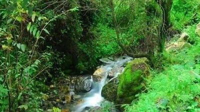 秦岭|夏季避暑好去处-周至峪口