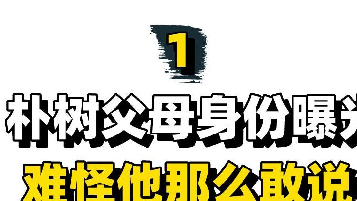 朴树|“另类歌手”朴树：父母身份曝光，不满假唱春晚全程黑脸