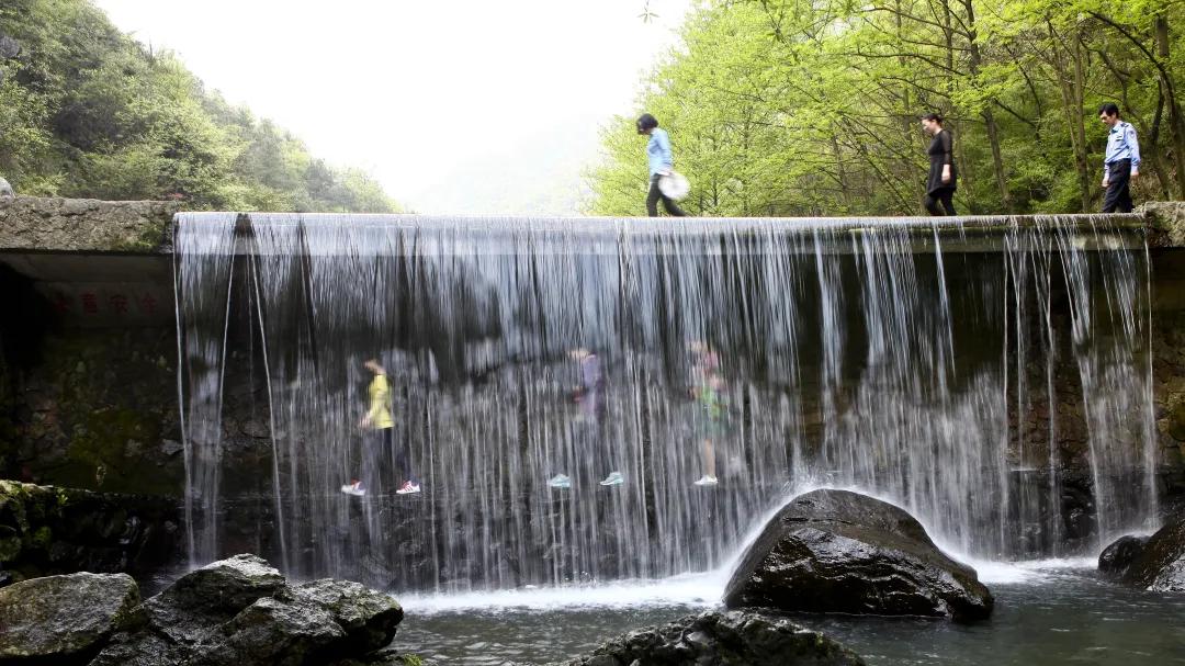 共享单车|谁不说咱家乡好 | 浦南篇