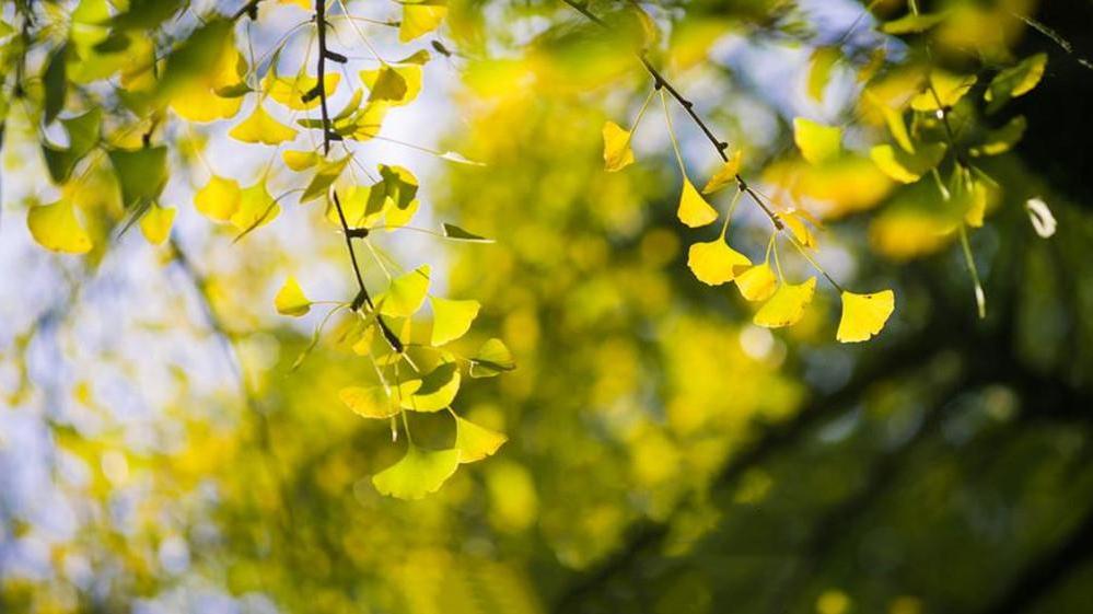 脾胃|立秋后，多给孩子吃这“5种”蔬菜，每一种都大有益处，快收藏