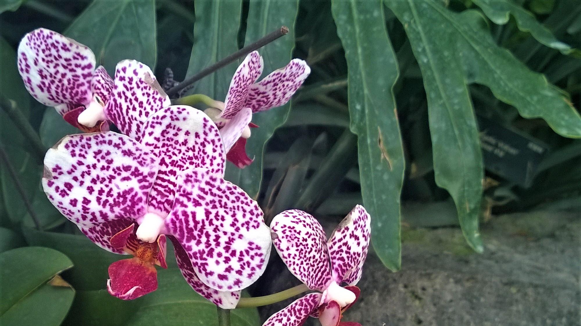 澳洲|行走职场，控制好你的控制欲