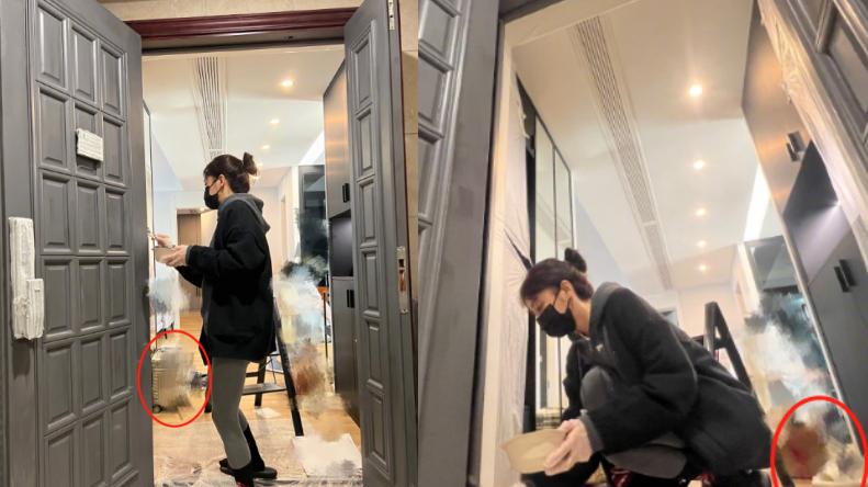 Big Bang|秦岚爬梯子为大门刷漆！穿紧身裤秀细长腿，纸箱拖鞋摆一地显杂乱