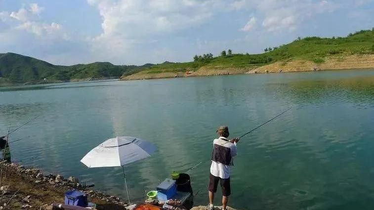 老板娘|与朋友去水库钓鱼（小小说）