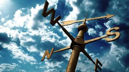 春招|大学生该怎么摆脱春招迷茫