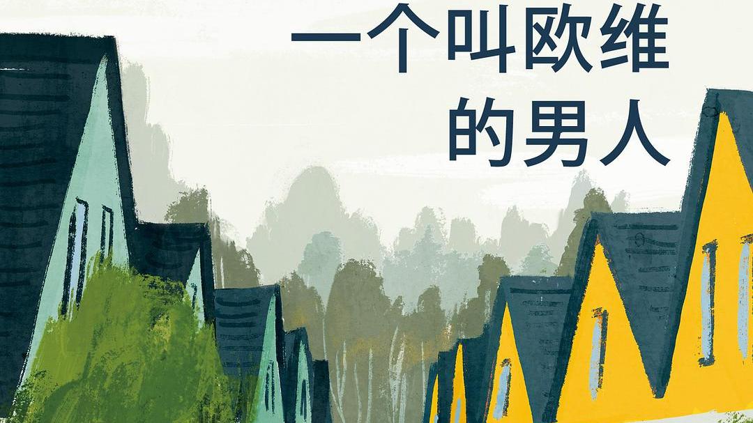 《一个叫欧维的男人》，欧维是现代社会很多老人的一个缩影