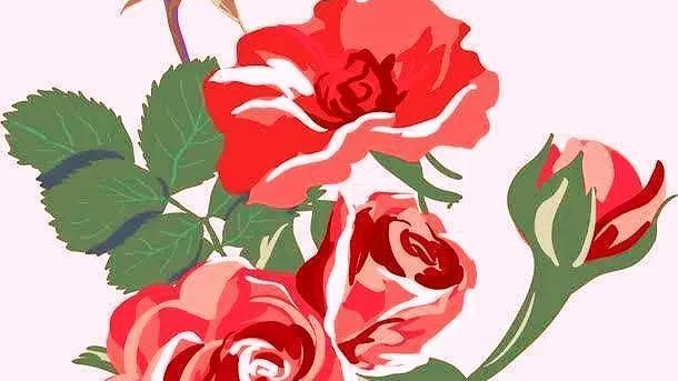 桌上的红玫瑰（微小说）