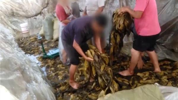 潜江|除了土坑酸菜，还有这些你不知道的“恶心食物”