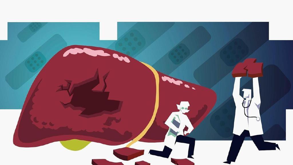 人参|经常应酬伤肝怎么办？人参三七成分可能改善肠道菌群调节肝功能