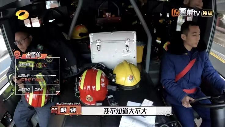 芒果台|芒果台太牛了！全新综艺，不用何炅汪涵两大台柱，还能收视夺冠