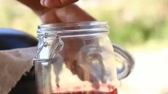 大脑|酷似石榴籽，儿时抢着吃，好吃又清热，10月果实成熟，你吃过吗？