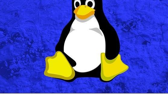 大神恶作剧删除Linux源代码，推荐使用WinXP系统？