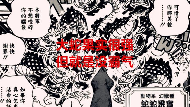 海贼王|海贼王1047话分析：尾田为何强调罗杰不是能力者？他或许是在补丁