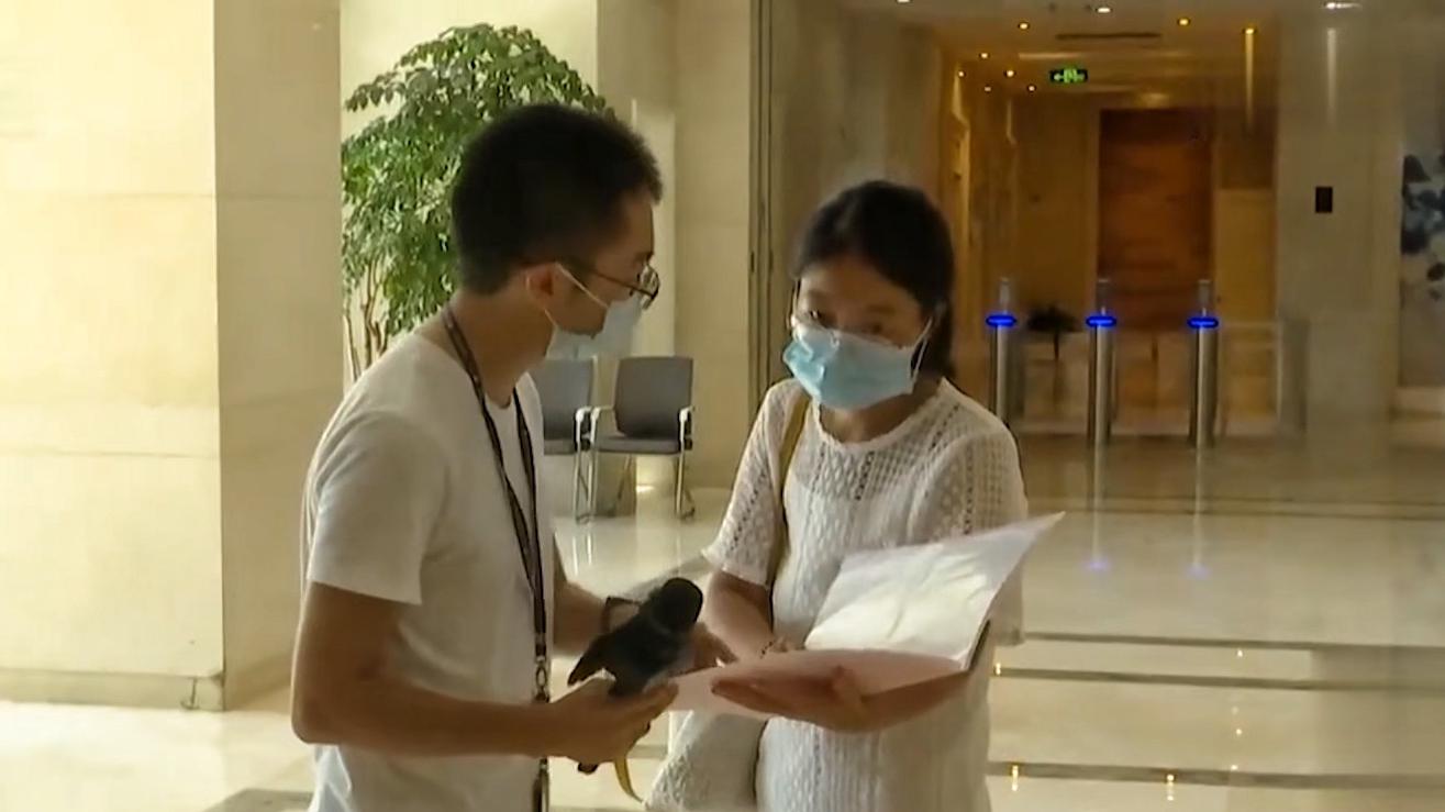 动力|面试时隐瞒怀孕事实，女子入职后被公司辞退，老板怒吼让她滚出去