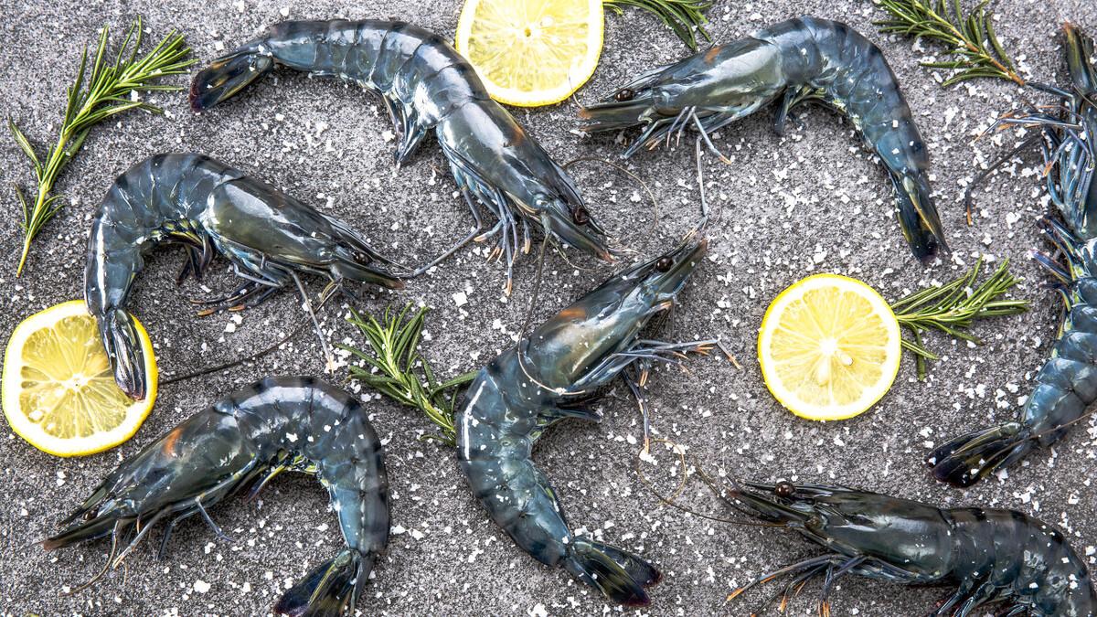 甲钴胺|参苓白术丸不止健脾益气，巧妙搭配，脾肾两虚、痰湿停滞也可用