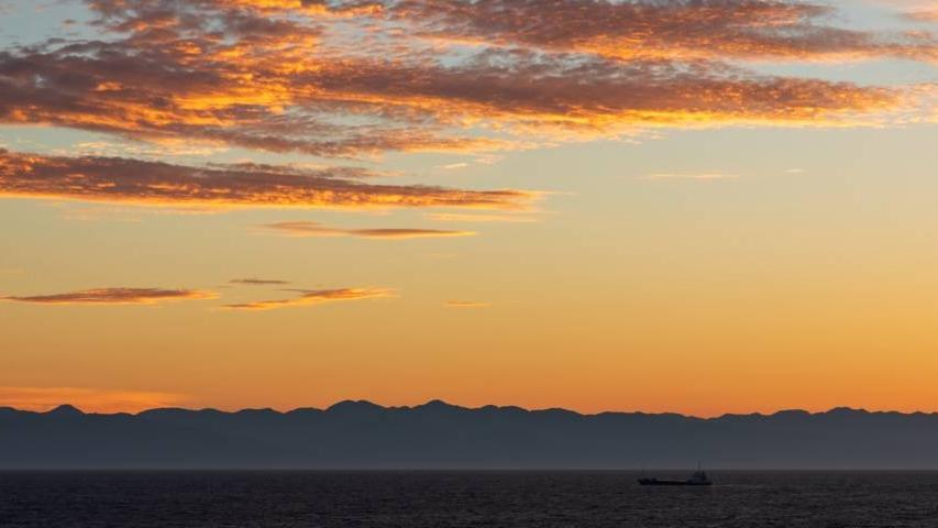 华为|当市场增长停止用户需求善变，家电业要从新电商寻找出路