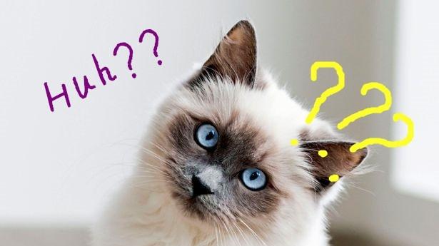 大学生|月薪 1。4 万招不到大学生，公司感叹工资这么高了还招不到人？