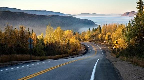 你有没有被别人割过韭菜？做好这3点，避免当韭菜