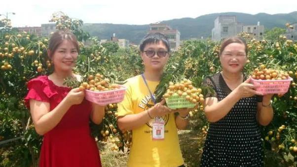 黄皮|夏天才有的“黄皮果”，其作用可不能小瞧，你知道怎么吃吗？