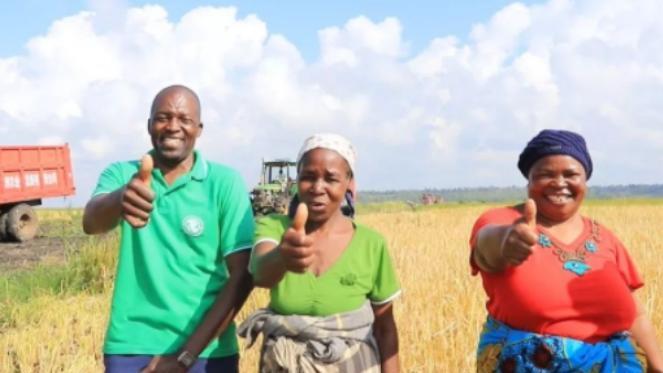 非洲|中国人眼中的“奢侈品”，在非洲却白菜价！当地人：送我都不要