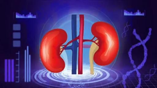 高血压|多个临床实验证实干细胞干预糖尿病肾病效果明显