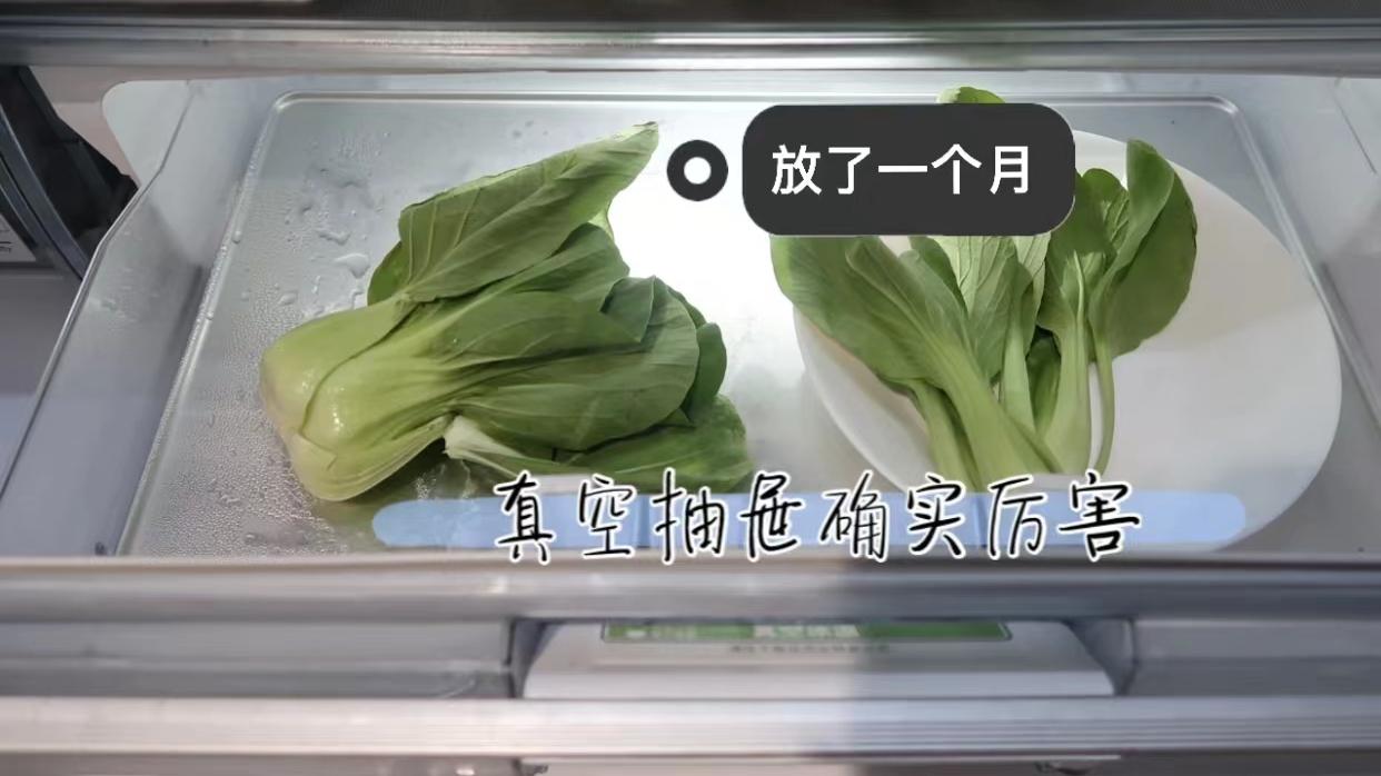 对开门冰箱|上万元的冰箱值不值得投入？不吹不黑，来看看过来人的使用体验