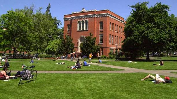 大学生|大学生在校期间可以考哪些证书？