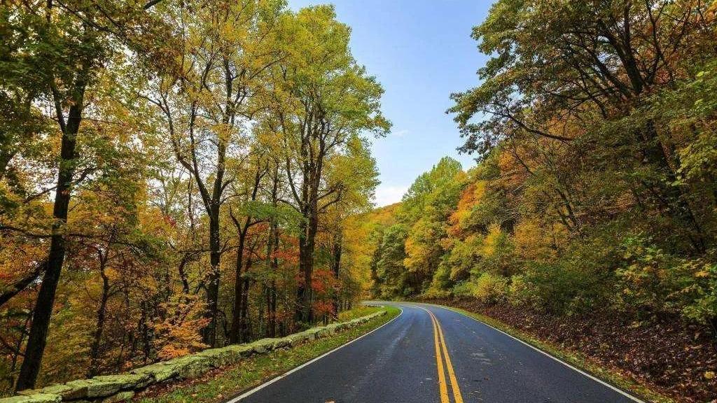 |在单位，活得太“真”的老实人，很吃亏