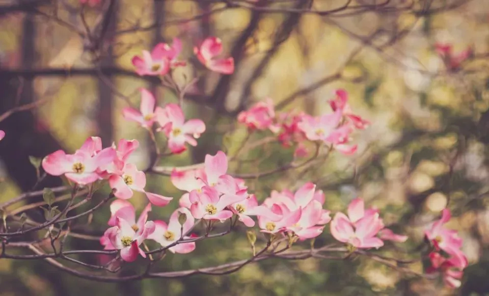 财报|赶上二手回收的商业风口, 但爱回收却总被消费者投诉欺骗