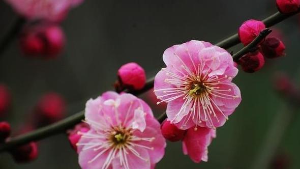 易经赢家思维：真正厉害的人，并非锋芒外露，而是懂得蛰伏的人