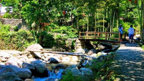 |宜昌值得去的景区，古树资源极其丰富，有“天然动植物园”之称