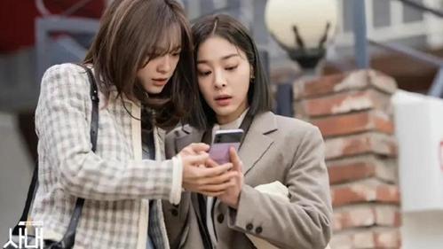 与君初相识·恰似故人归|社内相亲剧情分集介绍 姜泰武申夏莉结局反转