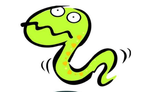 属蛇|虎年成就大业，属蛇人能者多劳，多年职场打拼博得美好未来