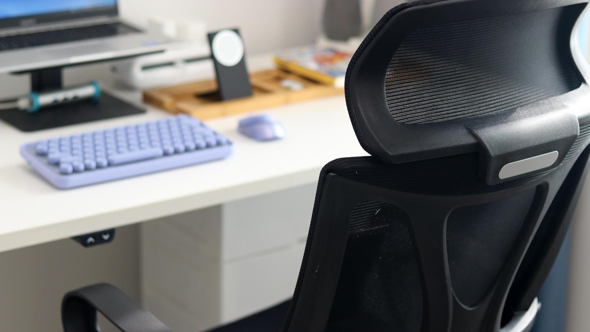 职员椅也能享受坐感：宝华贝轩仿生龙骨J156A办公椅体验