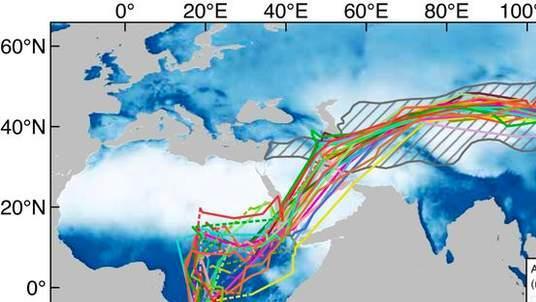 吉林突遇大雪，前往南方越冬的燕子还没迁徙，如此反常是为什么？