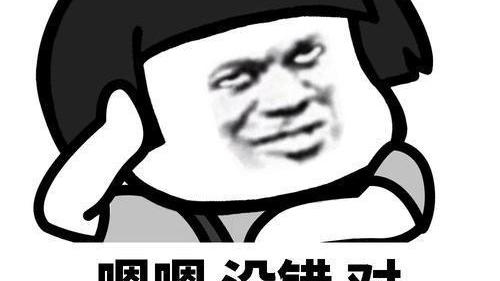 500的别墅，厨房开两扇门，通向客厅连接车库，动线合理不绕路