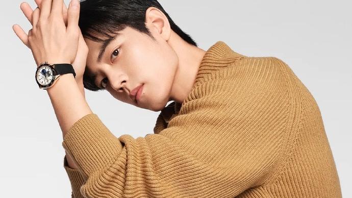 肖战|权威媒体发文慨叹肖战新剧！机遇与挑战并存！官方果然有先见之明