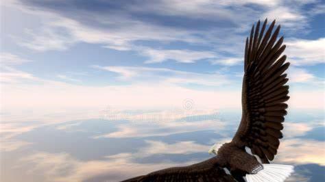 |职场的小伙伴们，祝你的发展“不”一帆风顺！