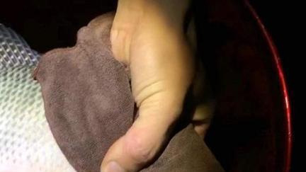 银环蛇|广西一男子晚上河边钓鱼，“米级”银环蛇不请自来，网友：骗人的