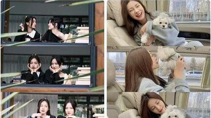 沈梦辰|公开与孟美岐聚会照引热议，沈梦辰紧急删博，刘芸宋妍霏也被牵连