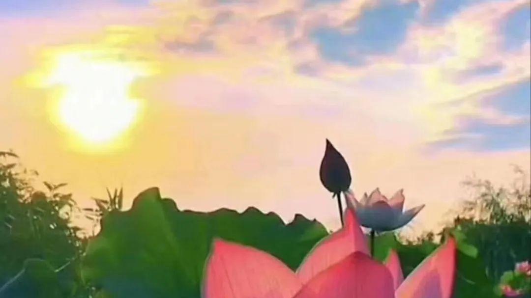 修行人讲：那些年你差点走不出来的时候，都是对你的考验