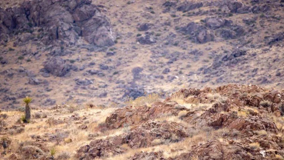 空调|98英寸大屏电视降至1.3万, 康佳精准打击小米TCL创维?