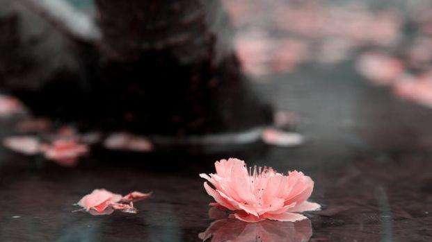 睡眠|更年期忧郁症，源于血不通！老方子，新用场，让人茅塞顿开的医案