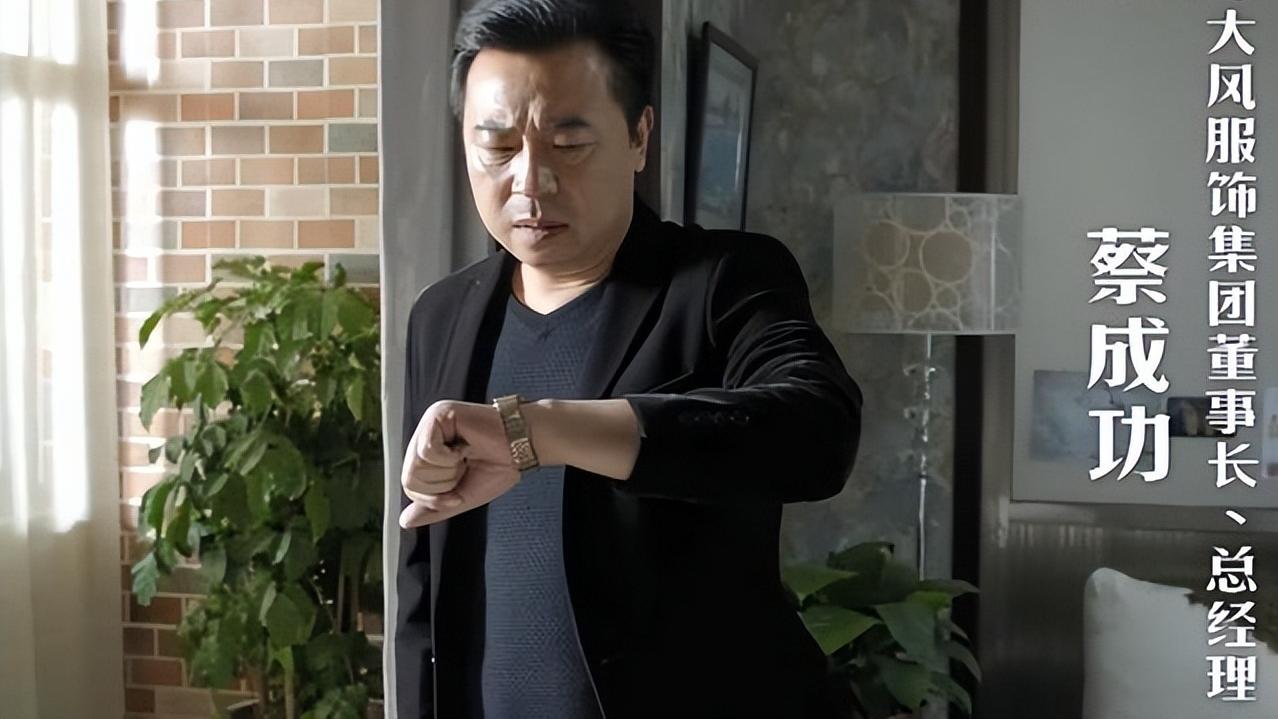 蔡成功|《人民的名义》中蔡成功是个什么级别，恐怕并不简单