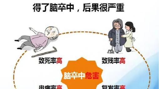 脂肪酸|【世界卒中日】时间就是大脑，教你快速识别卒中