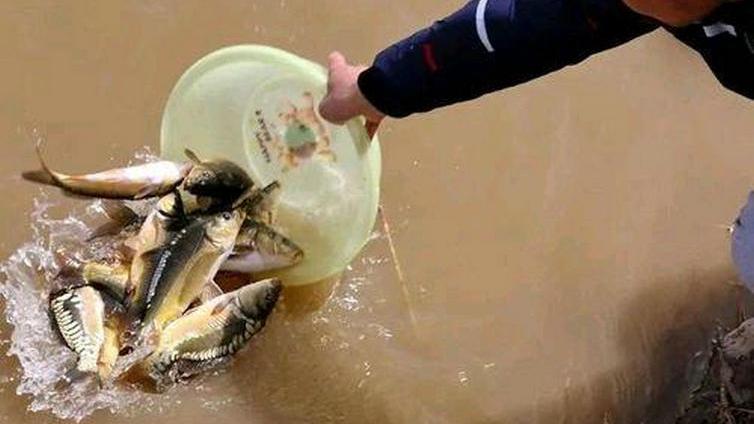 |江苏男子河道钓获“鲤鱼王”，围观大妈劝其放生，男子：100卖你