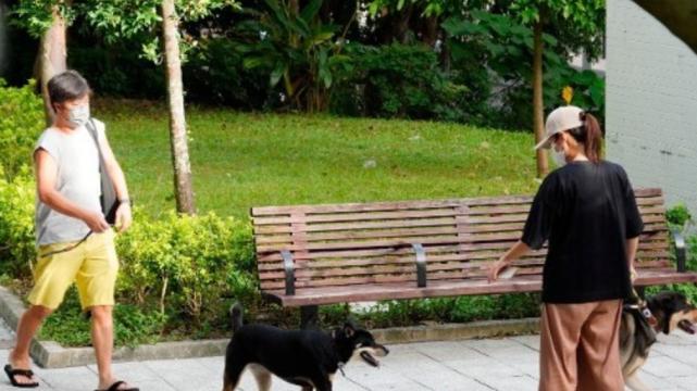 黄心颖|黄心颖自曝与TVB完约 与新男友同居 暂不想结婚仍想事业有所发展