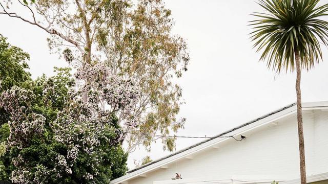 澳洲女主的家，全屋温暖棕色调，装修简约素雅，效果不是一般的美