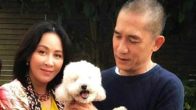 汪明荃|10对丁克港星夫妻，各有各的故事，有2男星背着老婆在外偷偷生娃