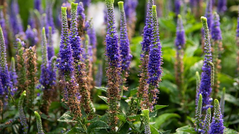 招聘|这些年行走江湖，总结出来的心得体会